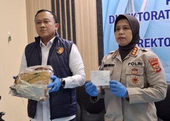 Polda Maluku Bongkar Jaringan Narkoba: 33 Kasus Diungkap, 40 Tersangka Diringkus